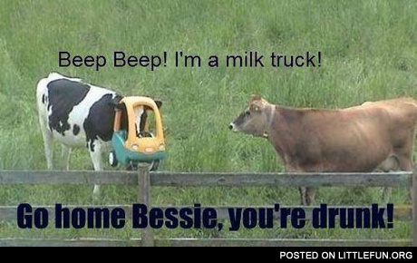 Beep beep! I'm a milk truck!