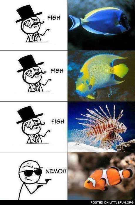 Fish, fish, Nemo