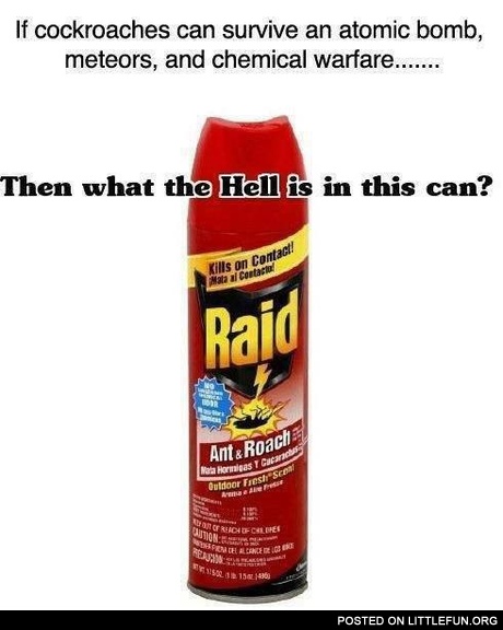 If c*ckroaches can survive an atomic bomb, what the hell is in this can?