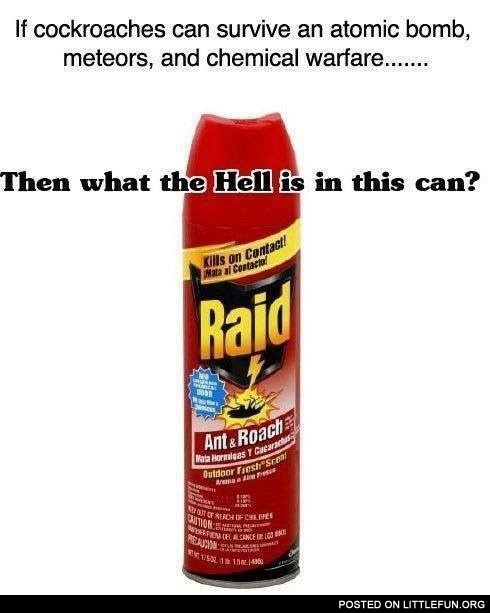 If c*ckroaches can survive an atomic bomb, what the hell is in this can?