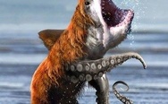 Bear shark octopus. This might be photoshoped.