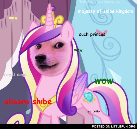 My little doge pony