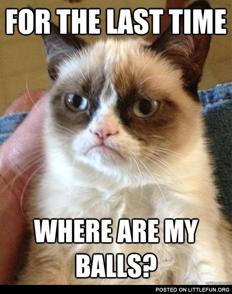 For the last time, where are my balls? Poor grumpy cat.