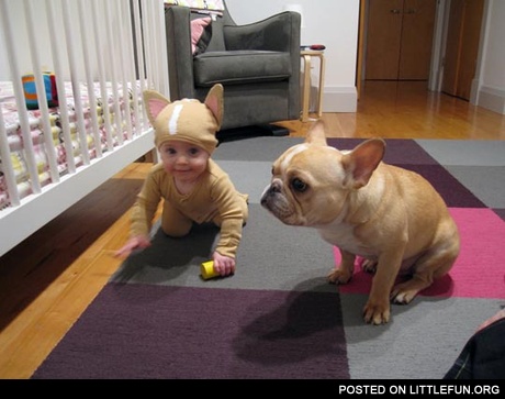 Baby in a dog costume