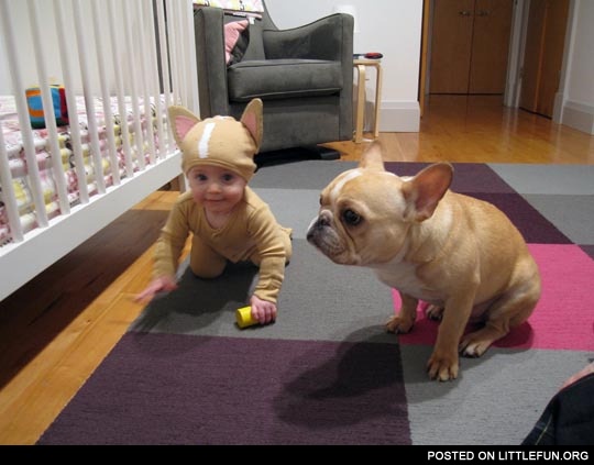 Baby in a dog costume