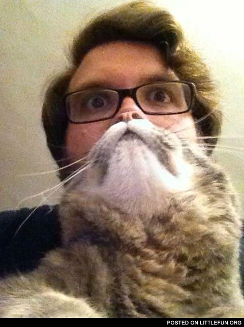 Cat beard