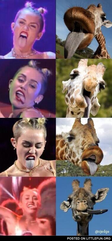 Miley Cyrus and giraffes