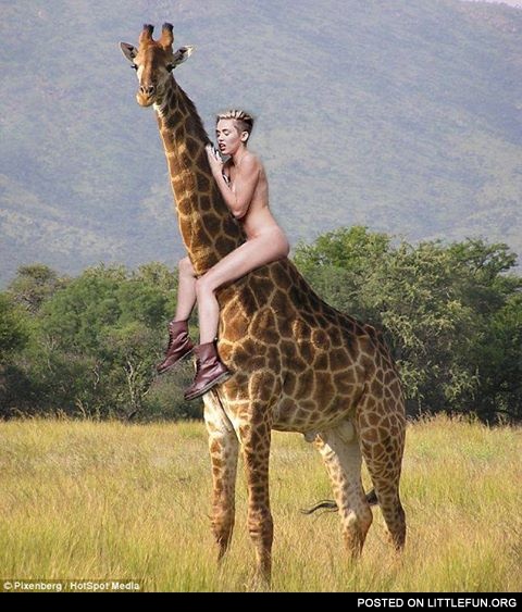 Miley Cyrus riding a giraffe