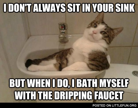 I don't always sit in your sink, but when I do, I bath myself with the dripping faucet