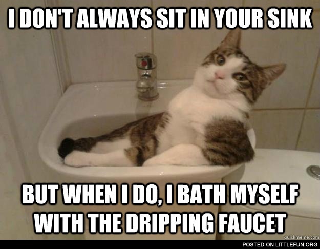I don't always sit in your sink, but when I do, I bath myself with the dripping faucet