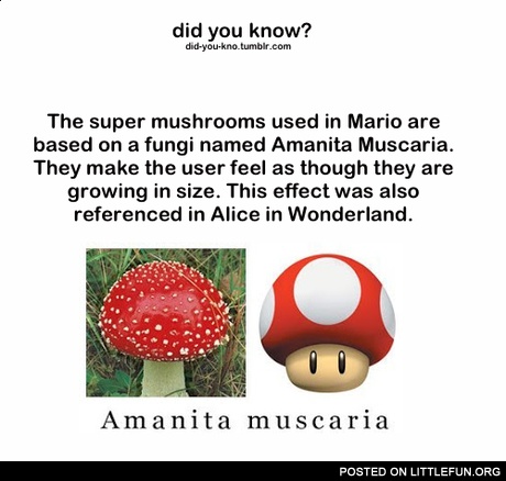 The super mushrooms used in Mario are based on a fungi named Amanita Muscaria