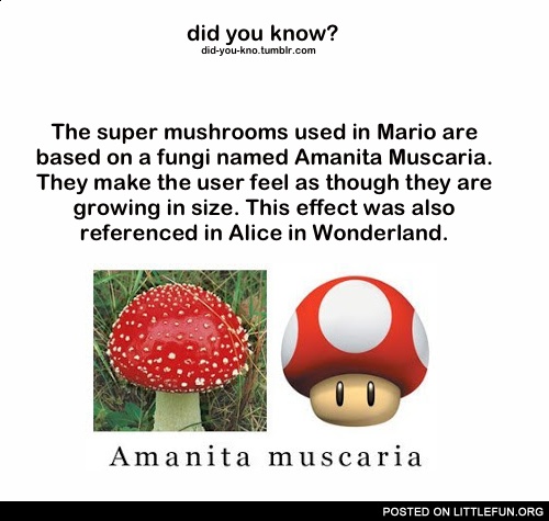 The super mushrooms used in Mario are based on a fungi named Amanita Muscaria