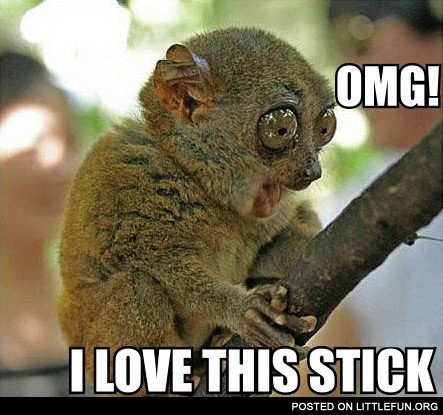 OMG! I love this stick!