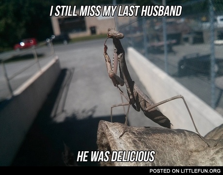 I still miss my last husband, he was delicious