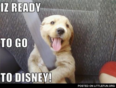 Ready to go to Disney. Puppy in the car.