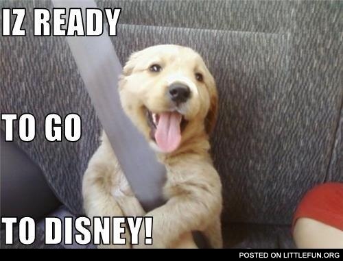 Ready to go to Disney. Puppy in the car.