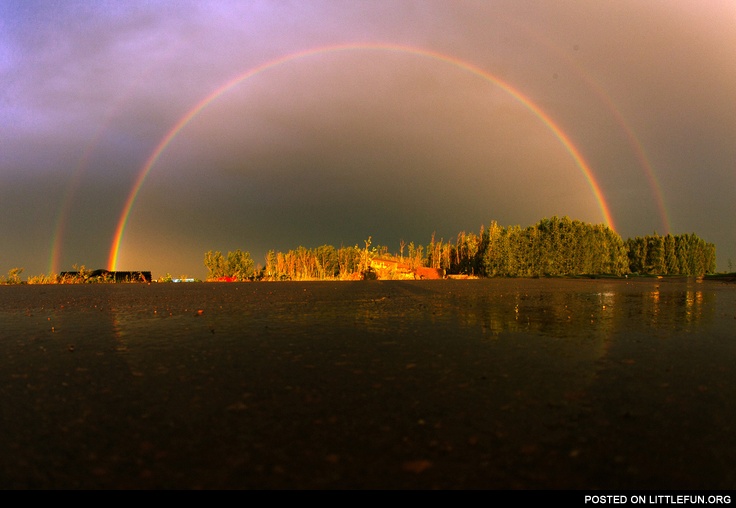 Amazing rainbow