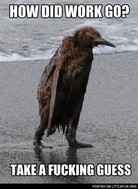 How did work go? Take a guess.