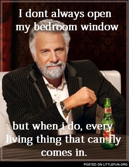 I don't always open my bedroom window