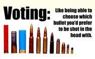 Voting: like being able to choose which bullet you'd prefer to be shot in the head with