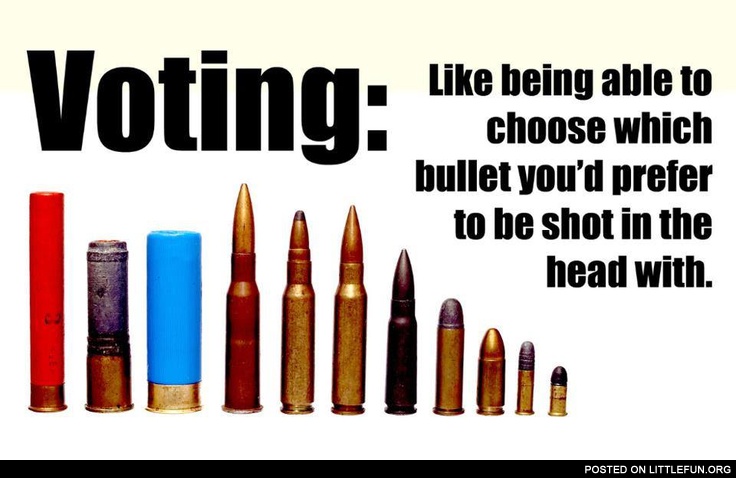 Voting: like being able to choose which bullet you'd prefer to be shot in the head with