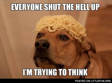 Dog and spaghetti. Everyone shut the hell up, I'm trying to think.