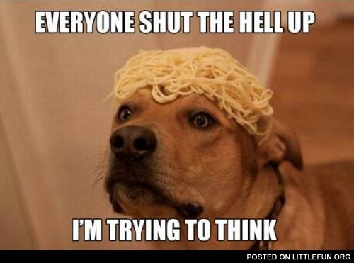 Dog and spaghetti. Everyone shut the hell up, I'm trying to think.