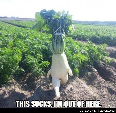 This sucks, I'm out of here