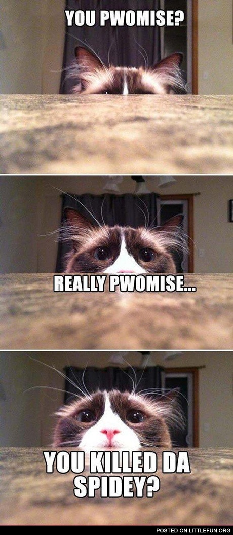 You killed da spidey?