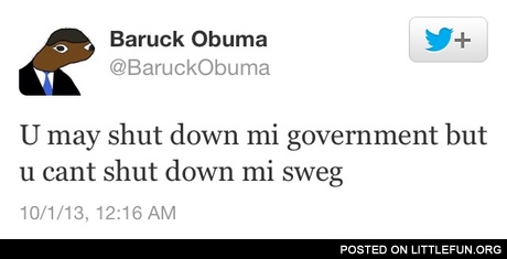 U may shut down mi goverment but u cant shut down mi sweg