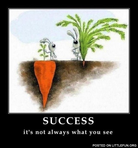 Success. It's not always what you see.