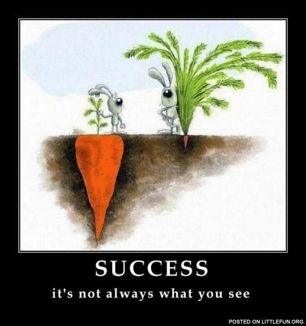 Success. It's not always what you see.