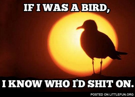 If I was a bird, I know who I'd sh*t on
