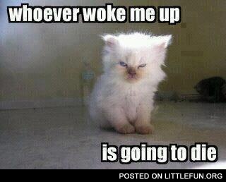 Whoever woke me up is going to die