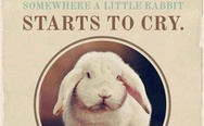 if you say no to oral s*x, somewhere a little rabbit starts to cry