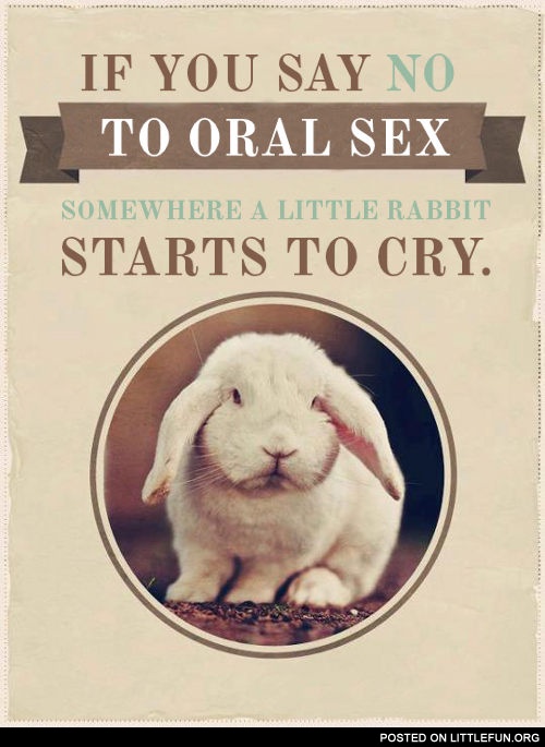 if you say no to oral s*x, somewhere a little rabbit starts to cry