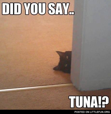 Did you say tuna?