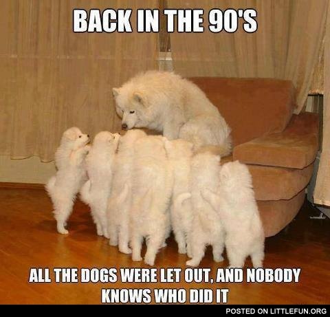 Back in the 90's all the dogs were let out, and nobody knows who did it