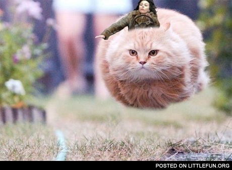 Scarlett Johansson riding a hovercat