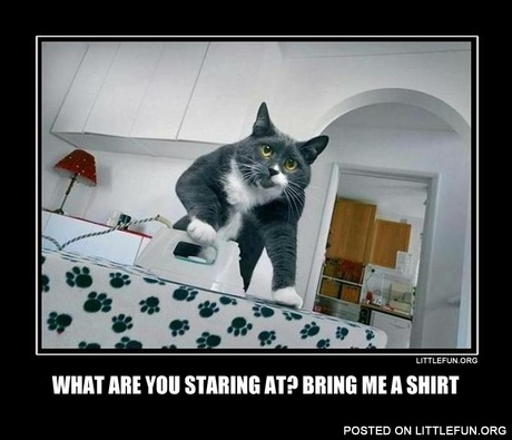 What are you staring at? Bring me a shirt.