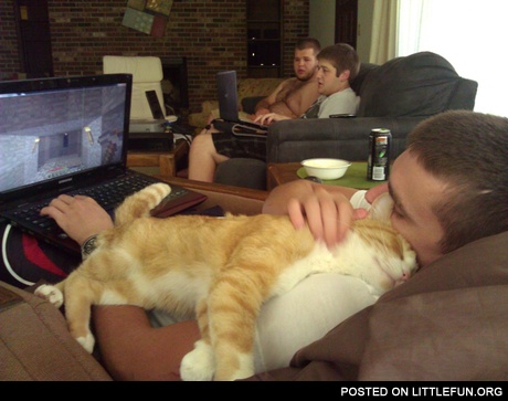 Cat sleeps on its owner while he plays the game on a laptop