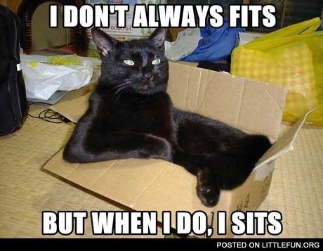I don't always fits, but when I do, I sits
