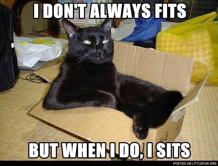 I don't always fits, but when I do, I sits
