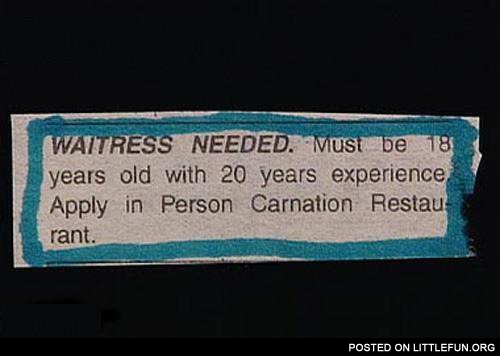 Waitress needed, must be 18 years old with 20 years experience