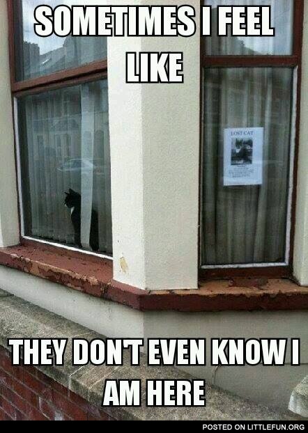 Sometimes I fell like they don't even know I am here