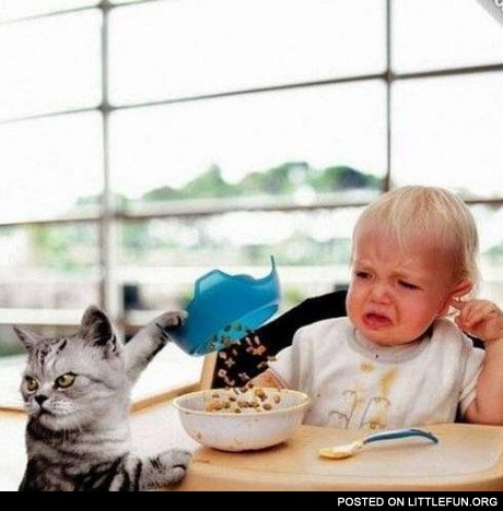 Evil cat and a baby with their breakfast