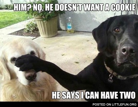 He doesn't want a cookie