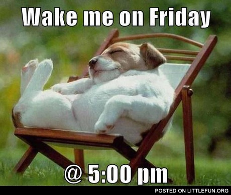 Wake me on friday