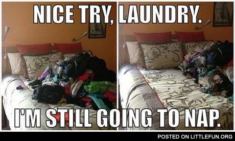 Nice try, laundry, I'm still going to nap
