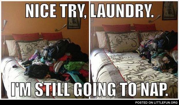 Nice try, laundry, I'm still going to nap